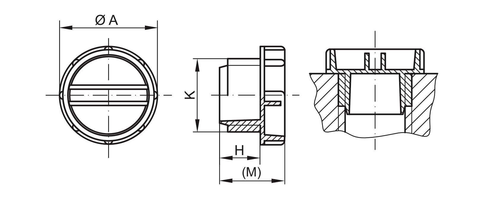 Drawing screw plug - GPN 700